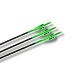 Victory RIP TKO Elite Custom Arrow Build